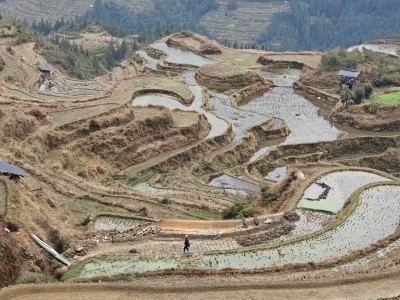 贵州旅游包车自助游5-7座图1