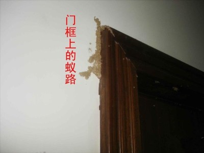 晋江家庭灭白蚁价格多少钱图3