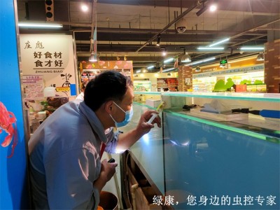 信阳哪里有灭鼠灭蟑螂的公司图3