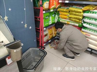 信阳机关单位灭鼠灭蟑螂灭白蚁找谁图2