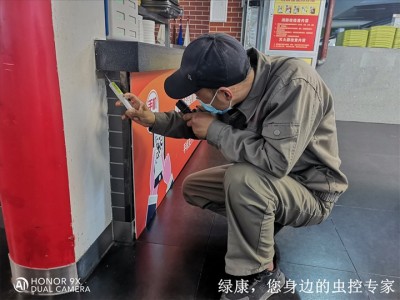 信阳机关单位灭鼠灭蟑螂灭白蚁找谁图3