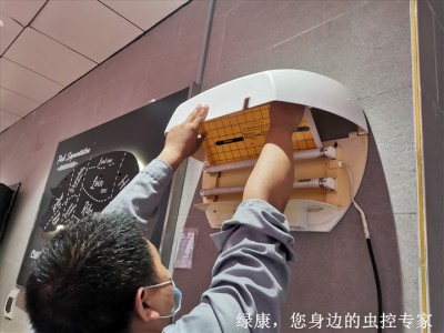 信阳机关单位灭鼠灭蟑螂灭白蚁找谁图1