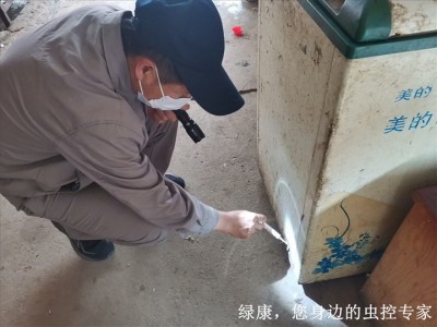 信阳市商超酒店餐饮灭鼠杀虫灭蟑螂图4