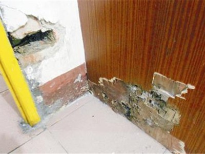 邢台超市灭鼠灭蟑螂价格图1