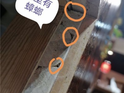 邢台专业消杀除虫灭鼠的公司图4