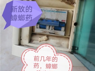邢台专业消杀除虫灭鼠的公司图1