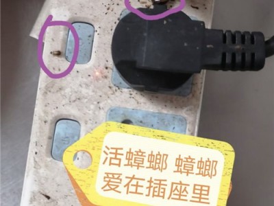 邢台专业消杀除虫灭鼠的公司图3