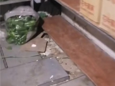 邢台专业消杀除虫灭鼠的公司图2