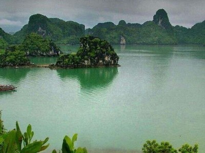 深圳专业起名大师傅电话多少图1