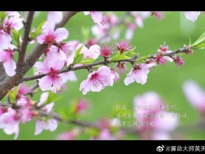 西安起名宝宝名字怎么取图2