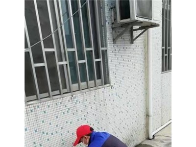 靖江专业灭鼠灭蟑螂图1