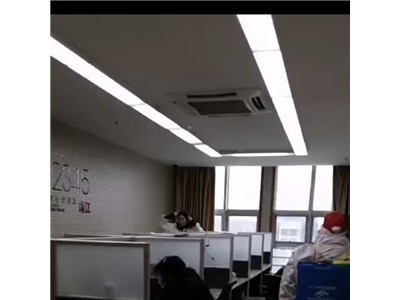 靖江专业除虫消杀消毒图1