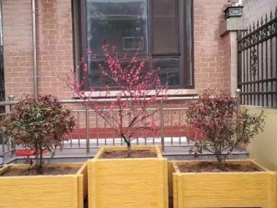 三明仿木花箱材质分类泉州瑞奇工厂款式多图2