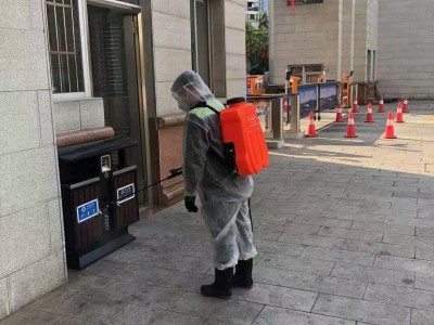 晋江哪里有灭白蚁的公司电话多少图2