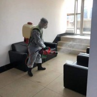 金坛灭白蚁防治蚂蚁找谁做