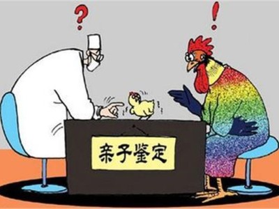 淮安做亲子鉴定的单位电话多少图1