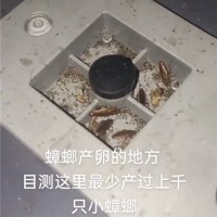 西宁市附近灭鼠灭蟑螂灭蚂蚁等