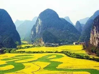 贵州旅游包车自助游电话多少图1