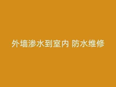 嘉兴厕所漏水问题的识别与解决策略图1