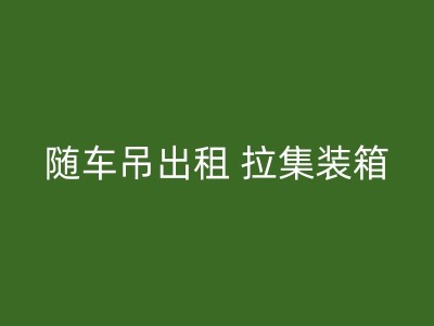 新和一站式吊车出租解决方案图1