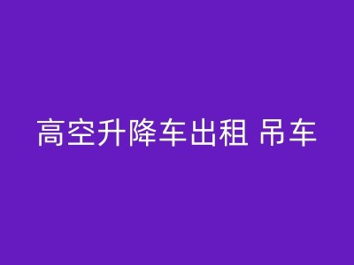 石河子25吨小吊车租赁，专业吊装，确保设备正常运行图1