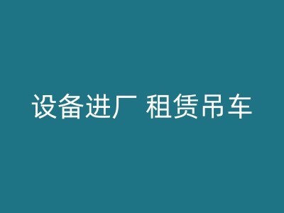 吐鲁番吊车的轮胎：如何选择合适的轮胎以确保安全和效率图1
