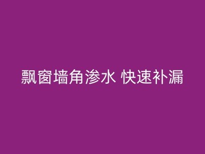 岳阳免砸砖漏水维修：让你的房屋维修不再繁琐图1
