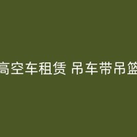 通海50吨吊车出租：多年经验，让您信任无忧