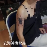 安海专业纹身设计小清新纹身