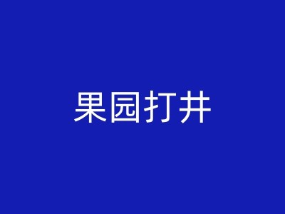 略阳打生活用水井的历史发展与现状分析图1