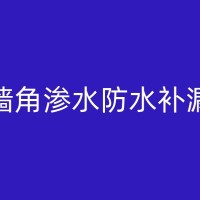 沙市墙面返潮防水维修行业发展趋势与前景展望
