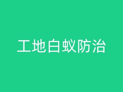 霸州蛋糕店灭鼠技巧：从预防到应对，让你的店铺远离老鼠困扰图1