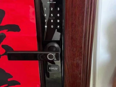 吉首安装门锁指纹锁换锁芯服务图1