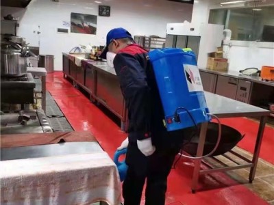浮梁专业灭鼠除虫消杀灭四害图1