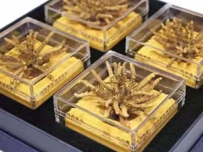永春虫草燕窝海参回收高价收购礼品图1