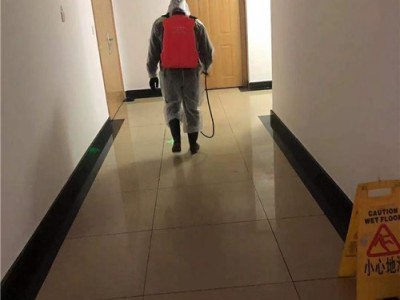 晋江专业除虫灭鼠餐饮饭店宾馆酒店图1