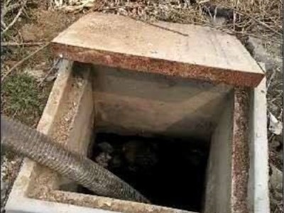 昌宁哪里有疏通管道维修下水道堵塞的图1
