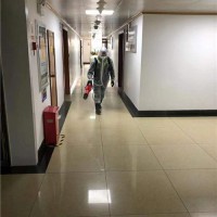 广州专业除虫灭鼠饭店商超宾馆工厂