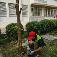 广州增城区超市灭鼠灭蟑螂价格多少