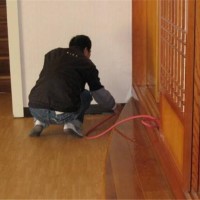 广州番禺附近灭白蚁公司哪家好