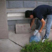 广州番禺餐饮灭鼠灭蟑螂哪家专业