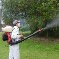 广州白云区灭四害公司