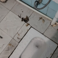 桦南疏通厕所蹲坑蹲便器马桶