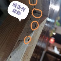 漯河杀虫灭鼠服务哪家好
